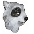 Raccoon Mask